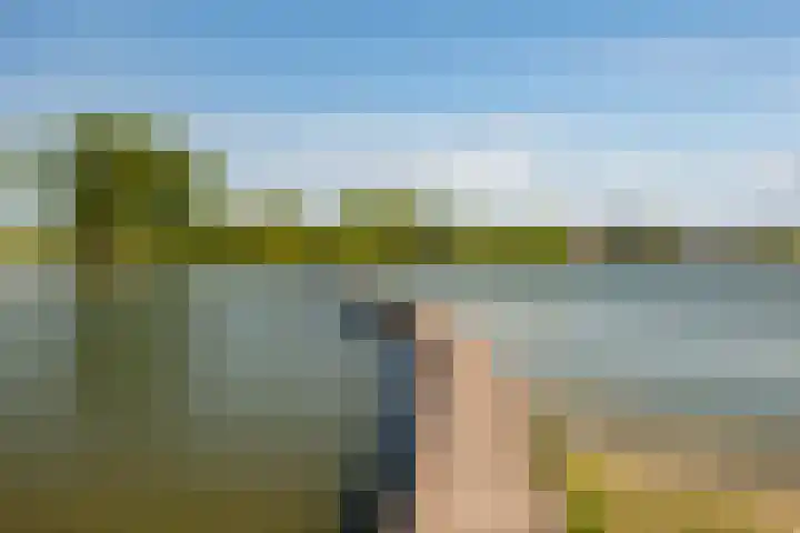 Zonland 147 Groningen thumbnail 60