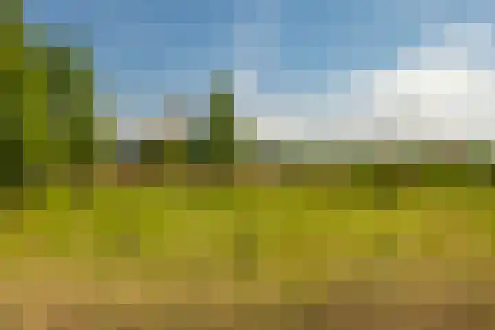 Zonland 147 Groningen thumbnail 61