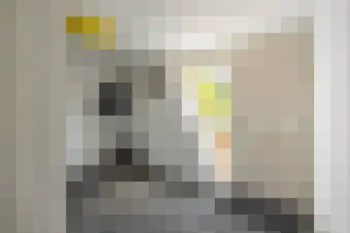 Zonland 147 Groningen thumbnail 8