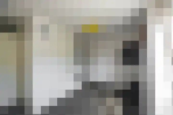Zonland 147 Groningen thumbnail 9