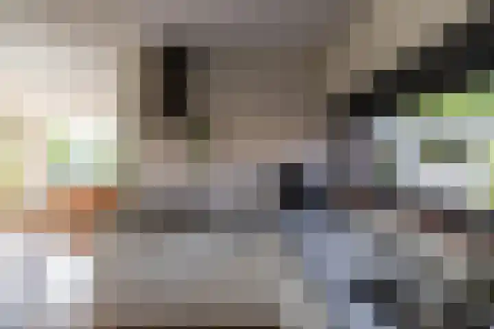 Zonland 7 Groningen thumbnail 10