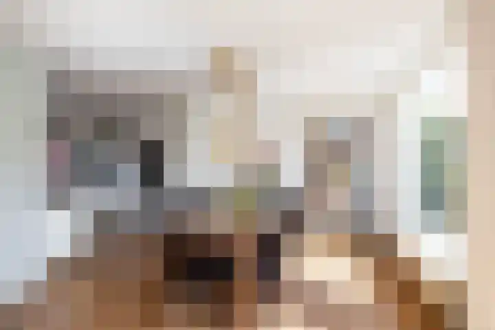 Zonland 7 Groningen thumbnail 13