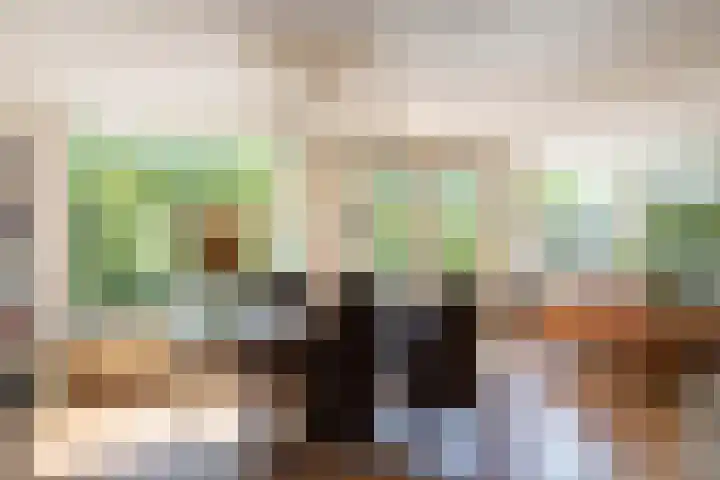 Zonland 7 Groningen thumbnail 14