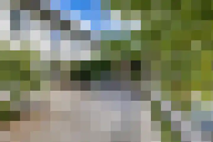 Zonland 7 Groningen thumbnail 16