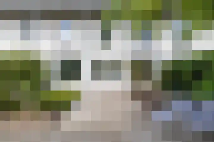 Zonland 7 Groningen thumbnail 17