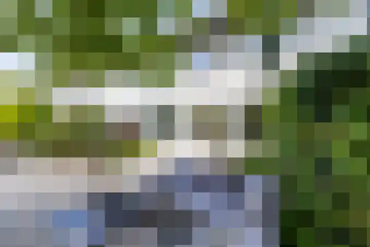 Zonland 7 Groningen thumbnail 18