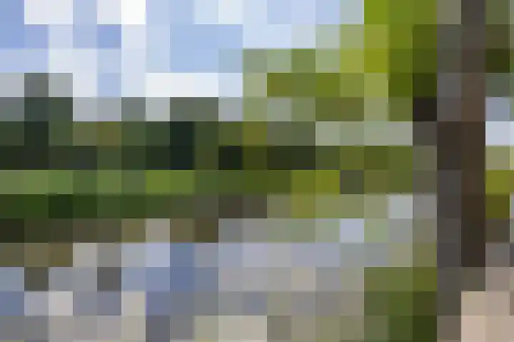 Zonland 7 Groningen thumbnail 19