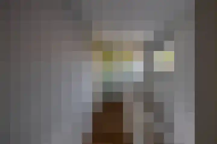 Zonland 7 Groningen thumbnail 20
