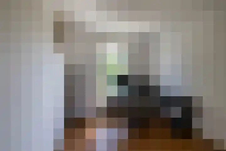 Zonland 7 Groningen thumbnail 22