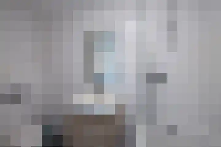 Zonland 7 Groningen thumbnail 27