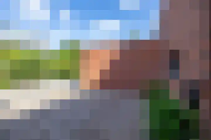 Zonland 7 Groningen thumbnail 31