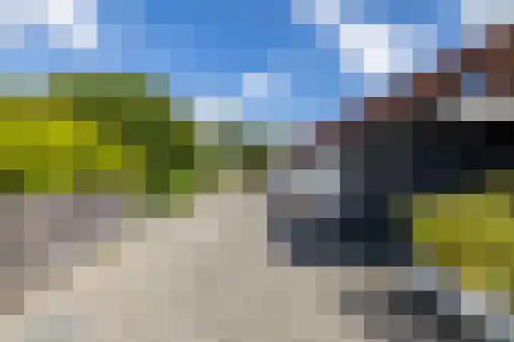 Zonland 7 Groningen thumbnail 33