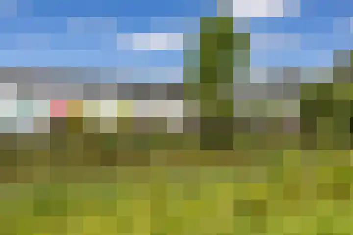 Zonland 7 Groningen thumbnail 34