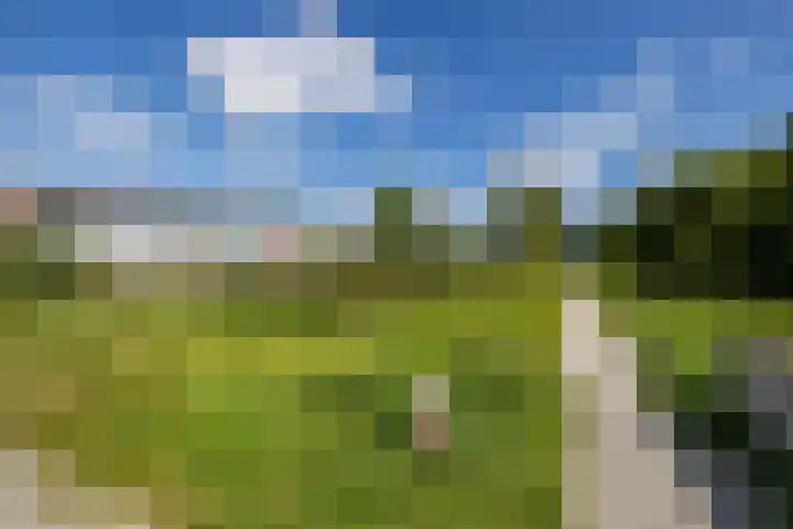 Zonland 7 Groningen thumbnail 35