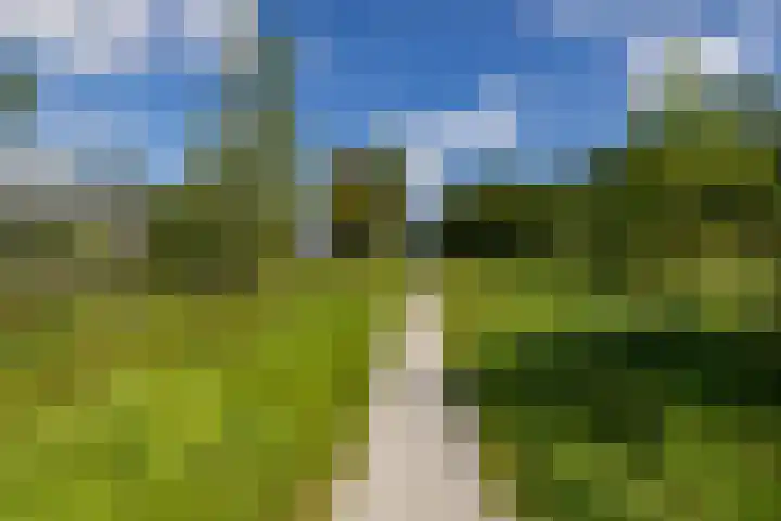 Zonland 7 Groningen thumbnail 36