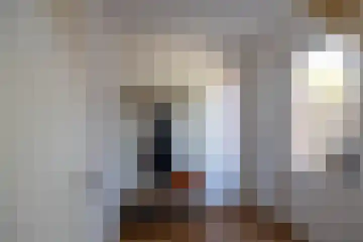 Zonland 7 Groningen thumbnail 6