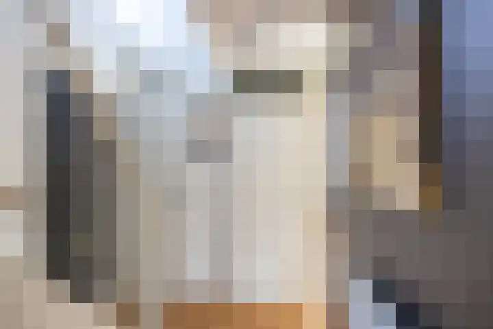 Zonland 7 Groningen thumbnail 7