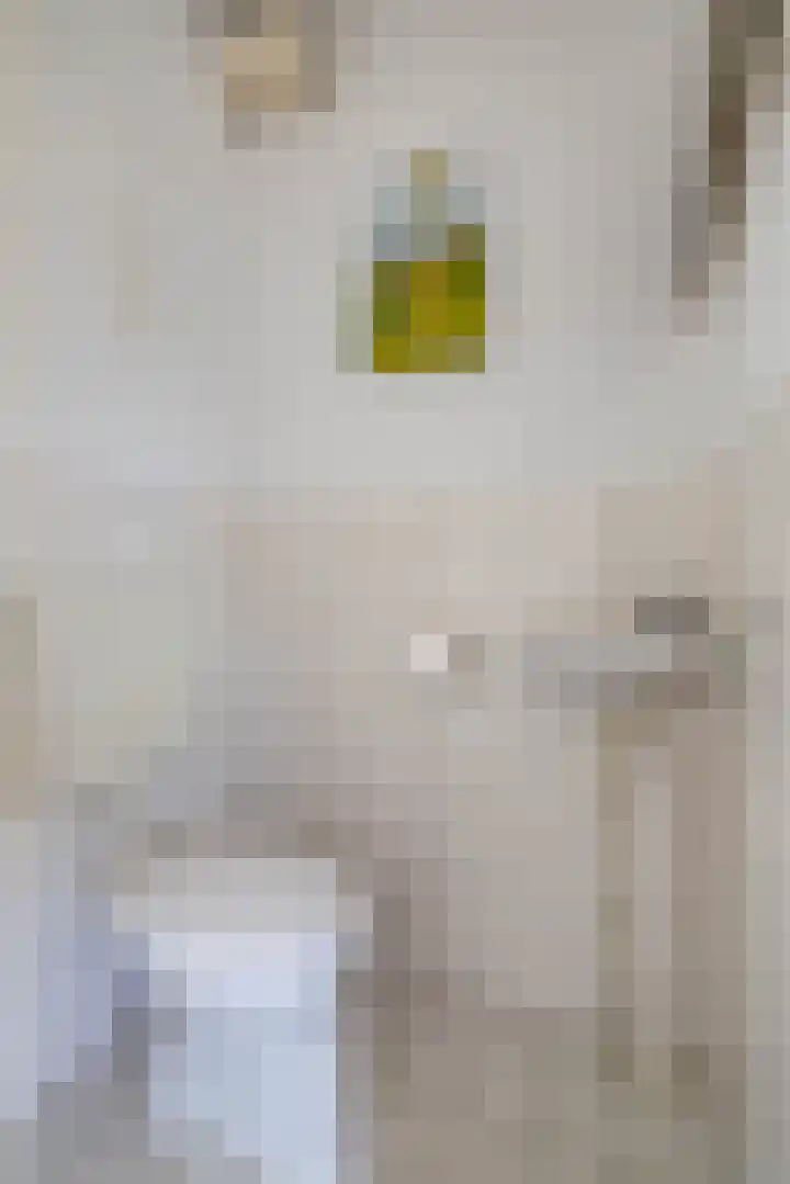Zonland 7 Groningen thumbnail 8
