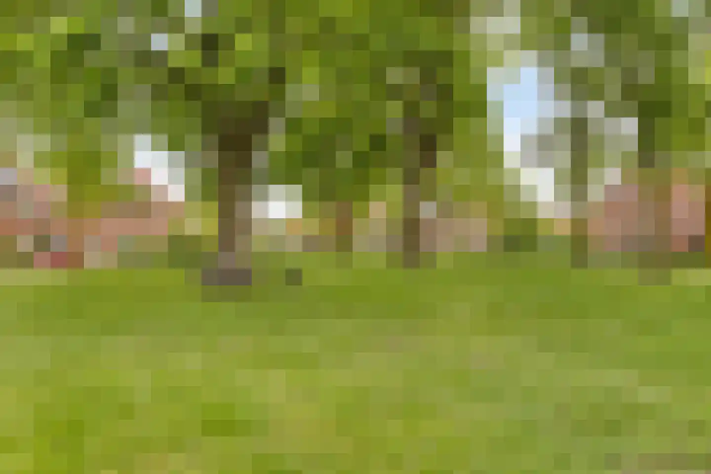 Zonmanshoeve 20 Helmond thumbnail 36