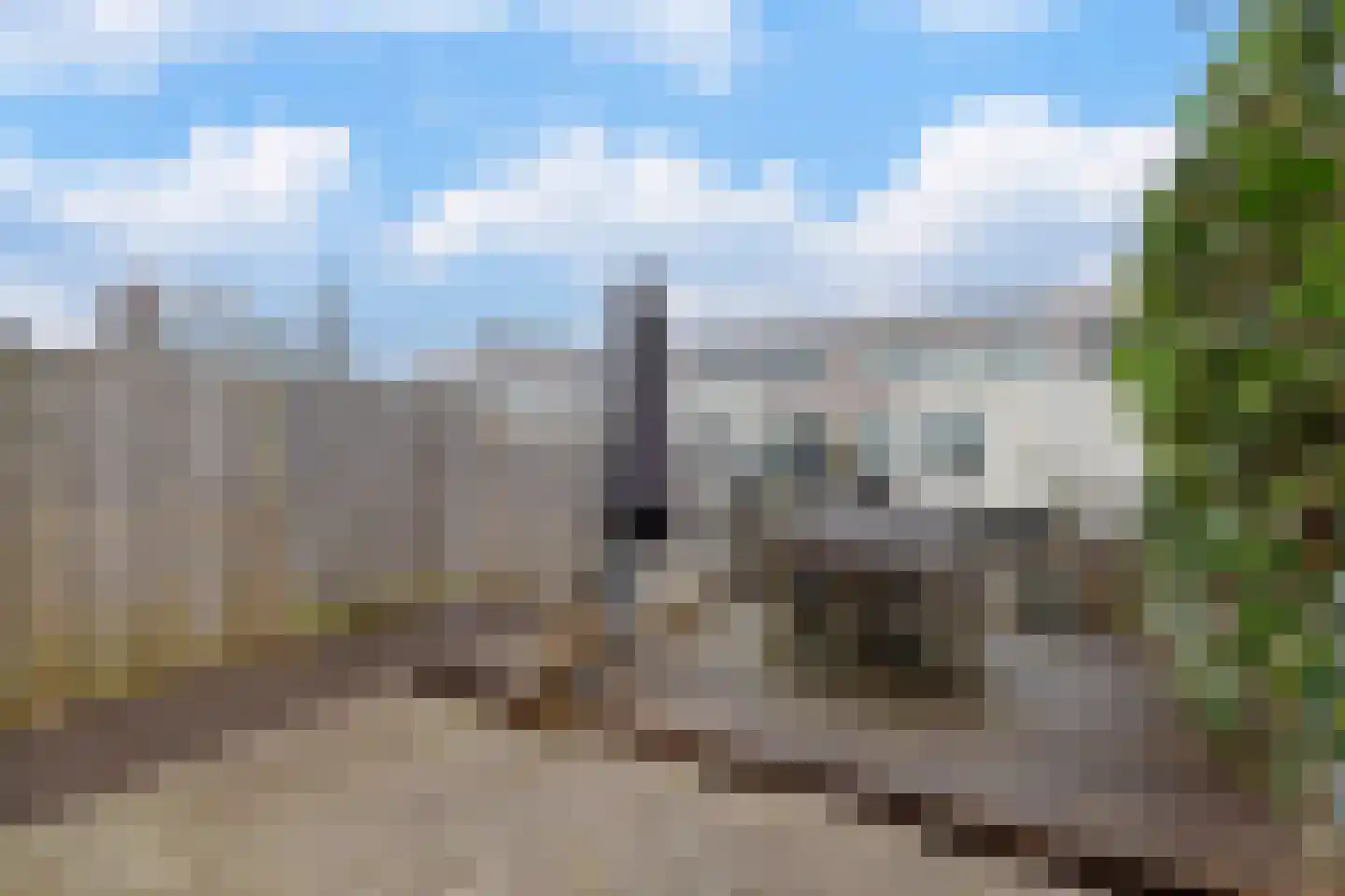 Zonnebaars 11 Krommenie thumbnail 10