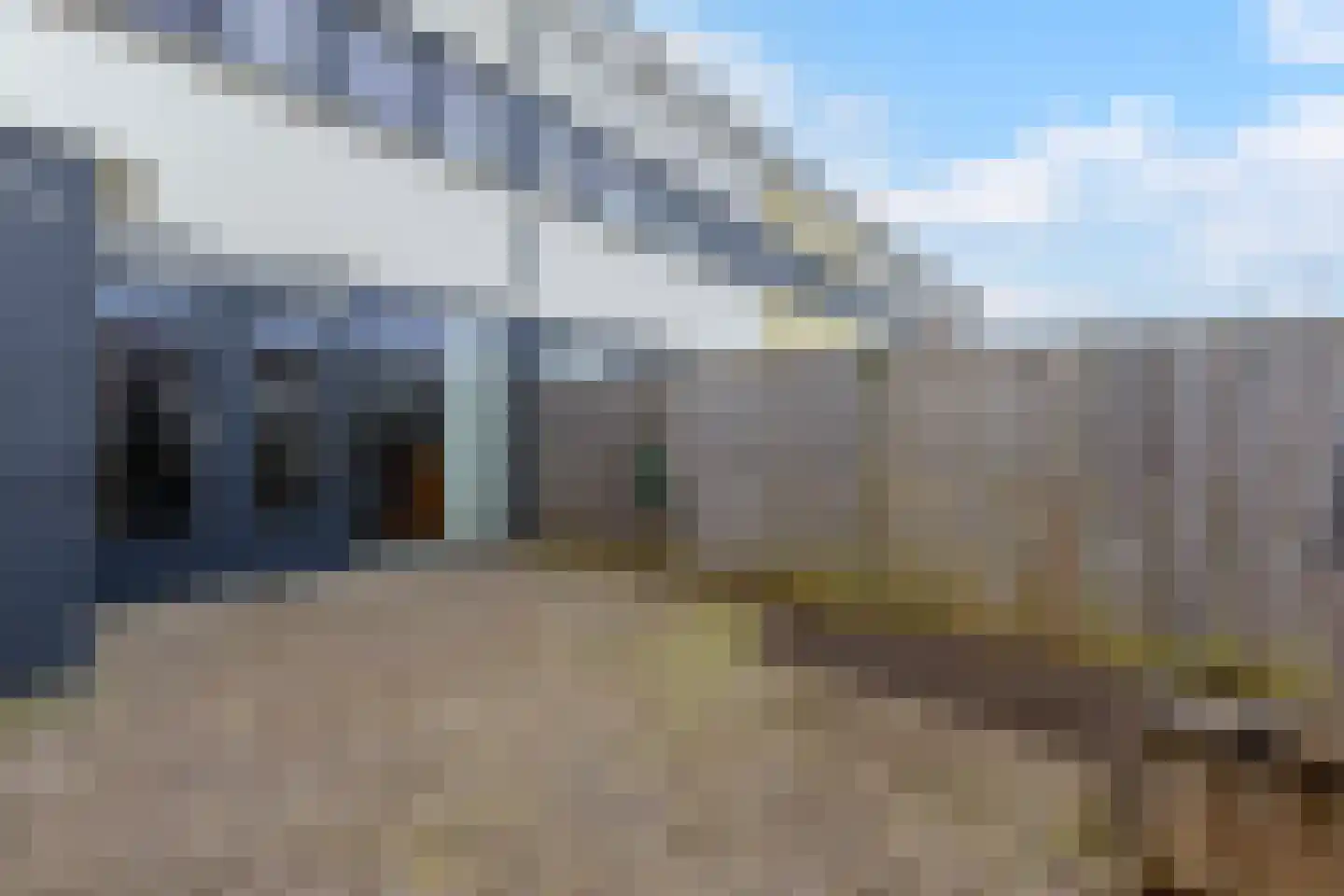 Zonnebaars 11 Krommenie thumbnail 11