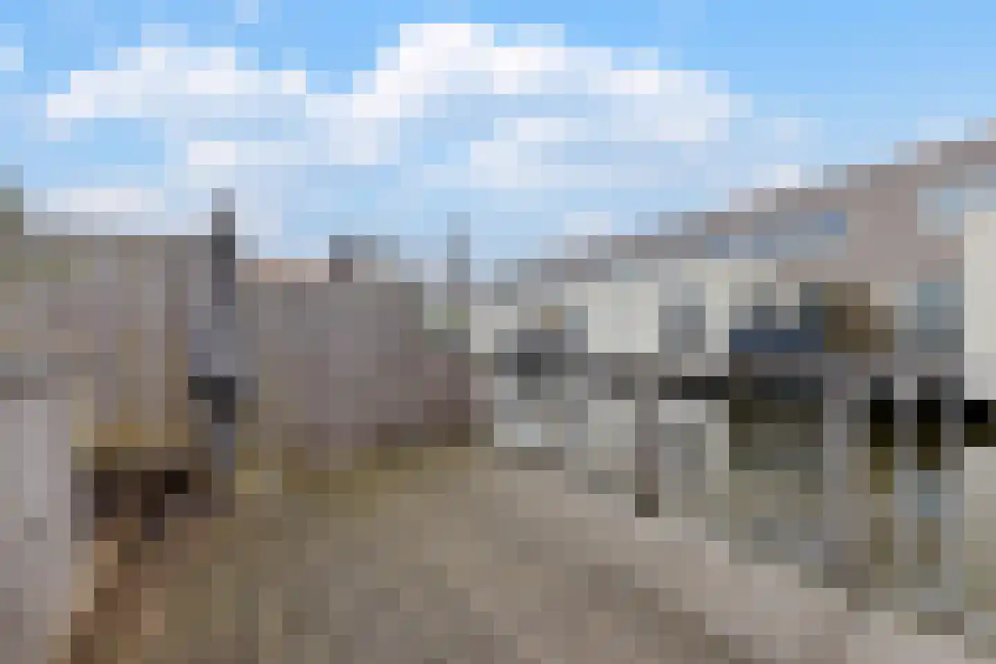 Zonnebaars 11 Krommenie thumbnail 13