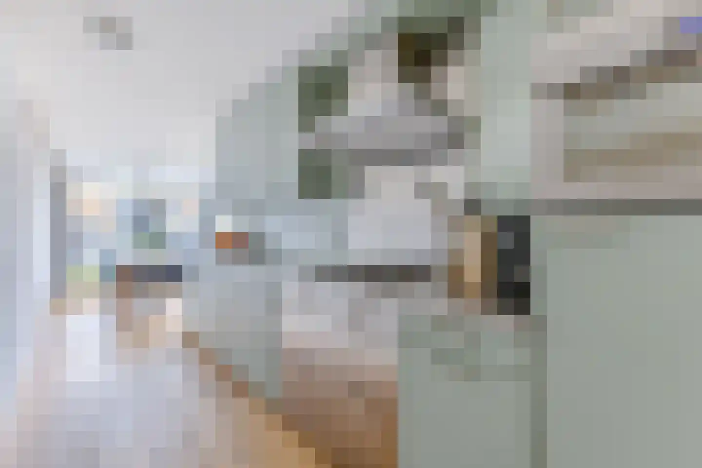 Zonnebaars 11 Krommenie thumbnail 16