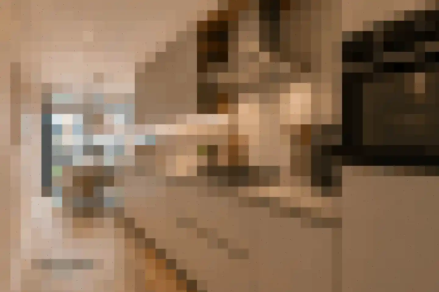 Zonnebaars 11 Krommenie thumbnail 19