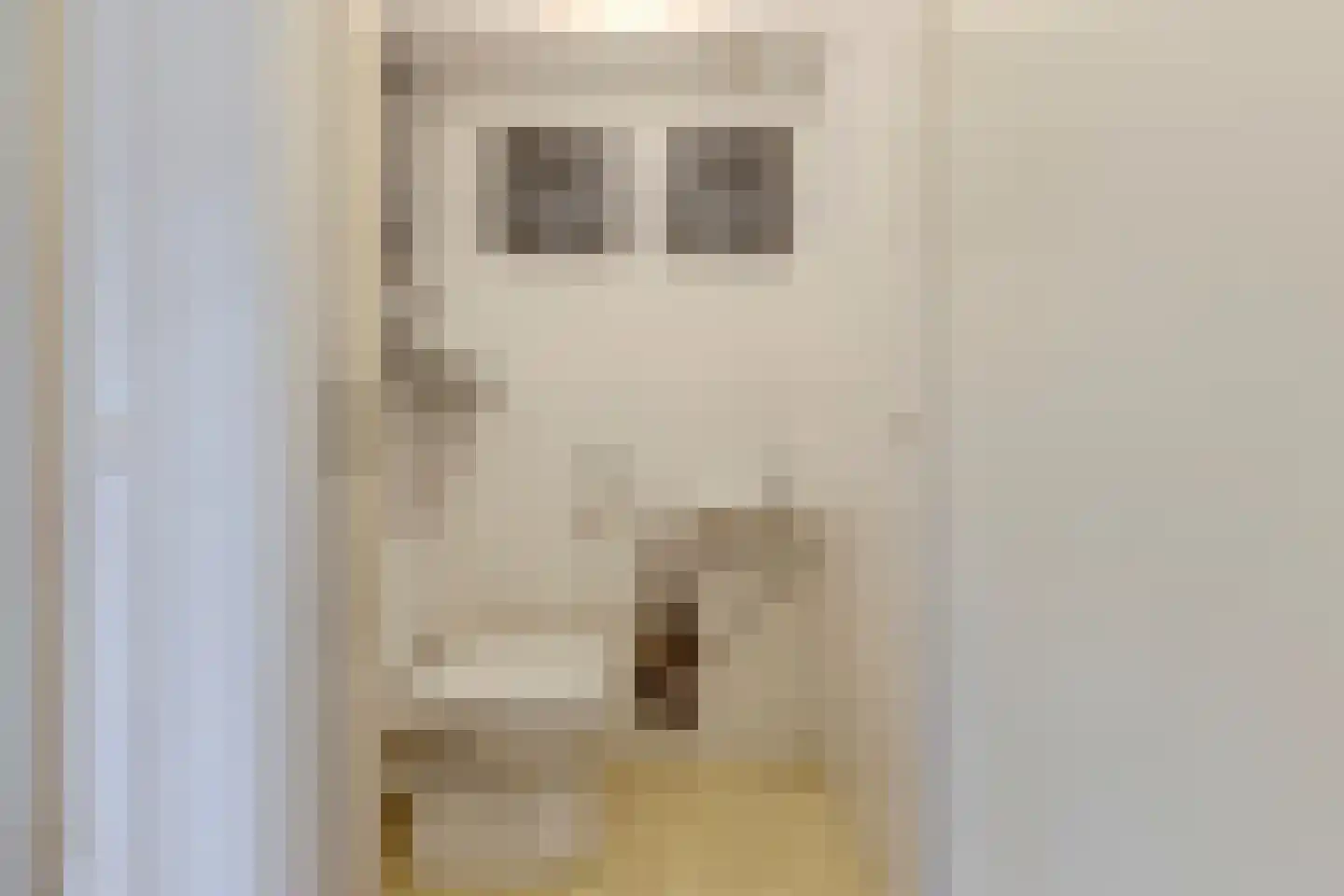 Zonnebaars 11 Krommenie thumbnail 20