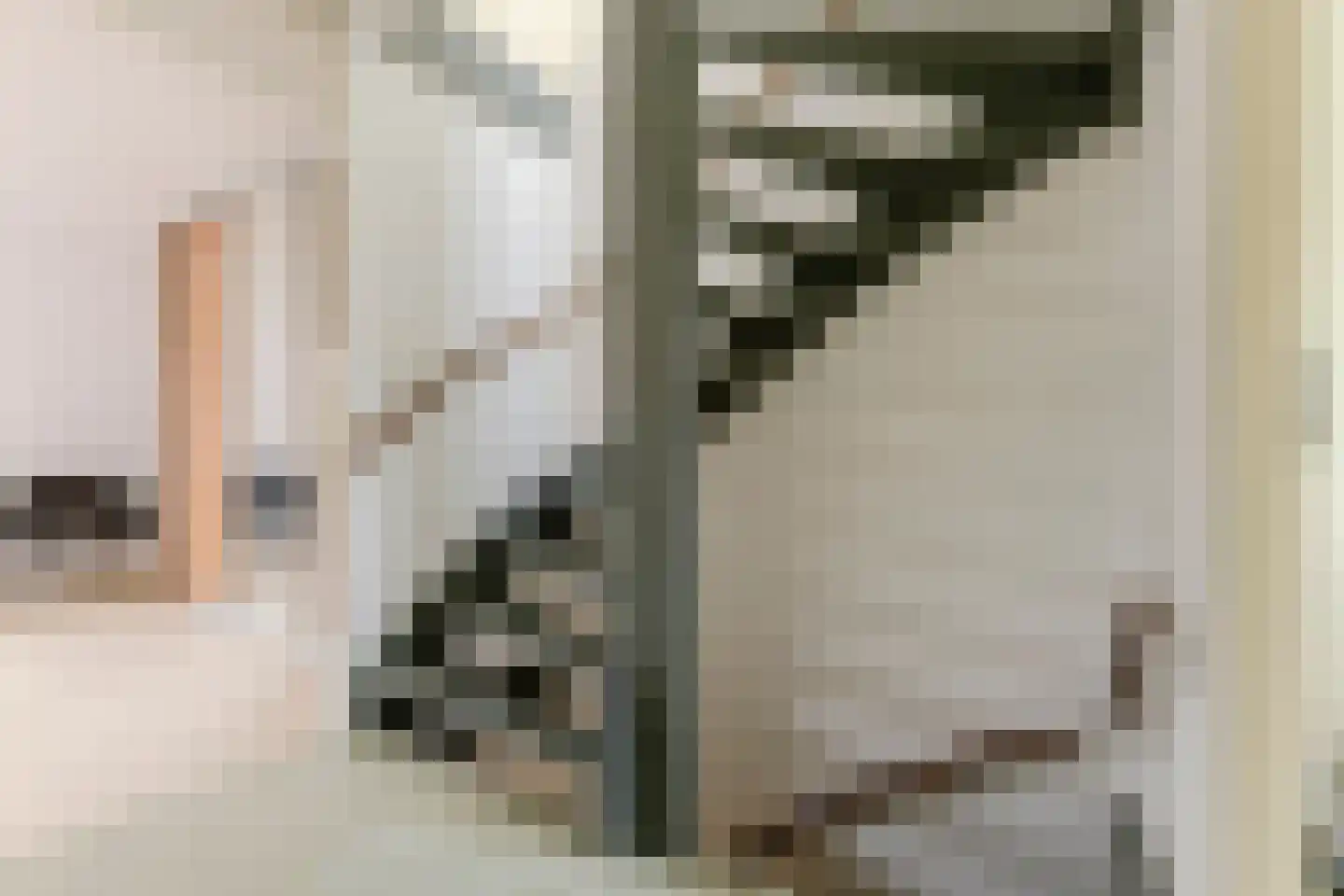 Zonnebaars 11 Krommenie thumbnail 22