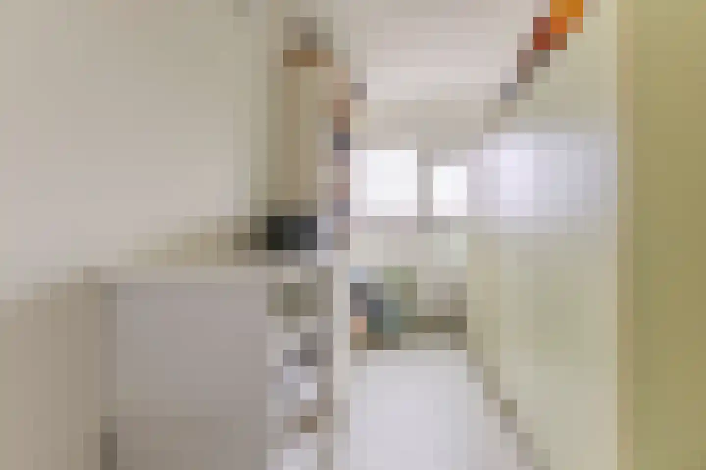 Zonnebaars 11 Krommenie thumbnail 27
