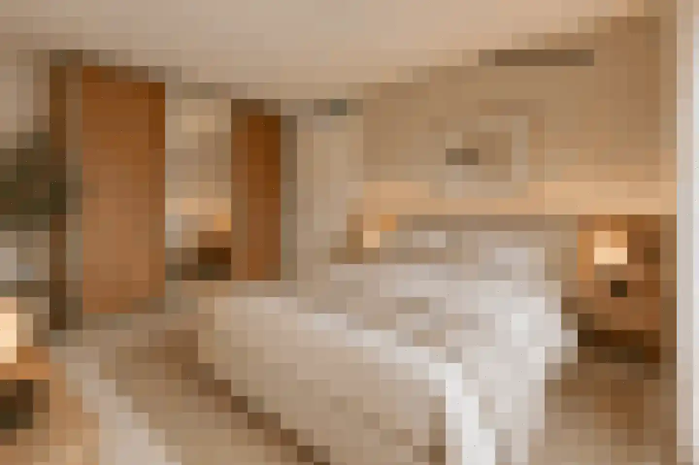 Zonnebaars 11 Krommenie thumbnail 27