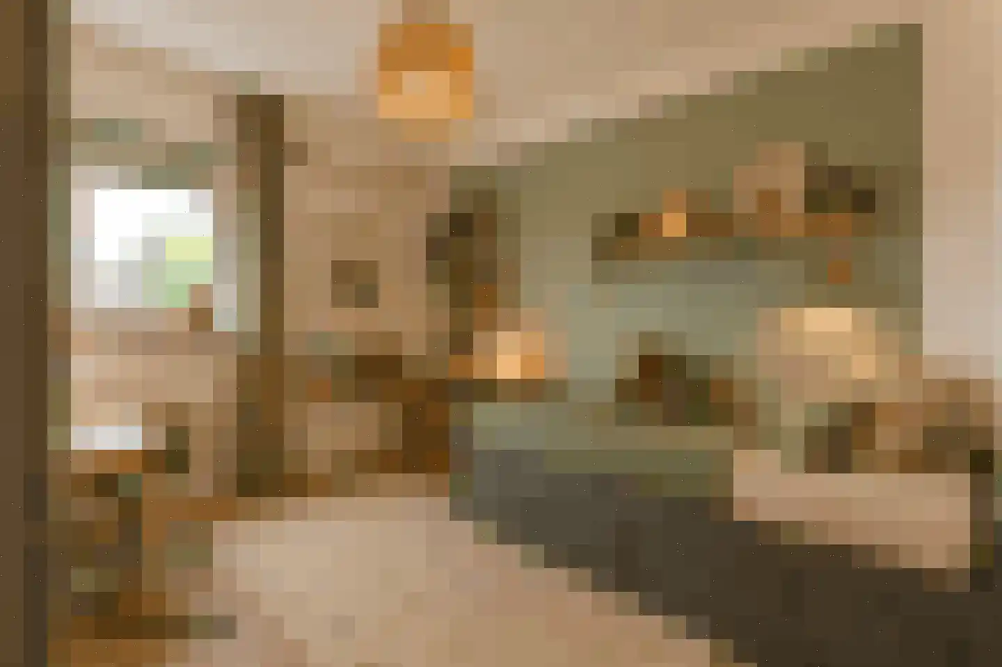 Zonnebaars 11 Krommenie thumbnail 30