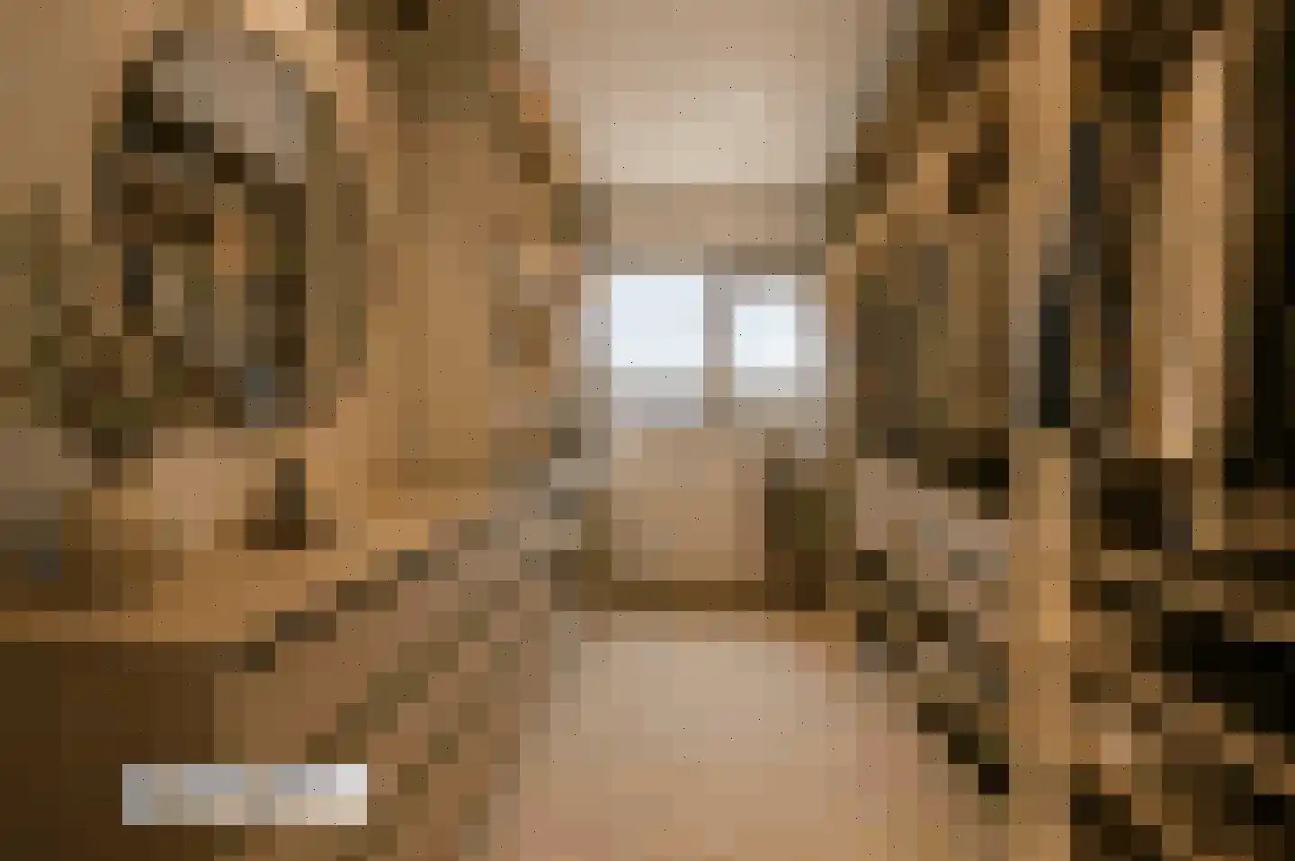 Zonnebaars 11 Krommenie thumbnail 33