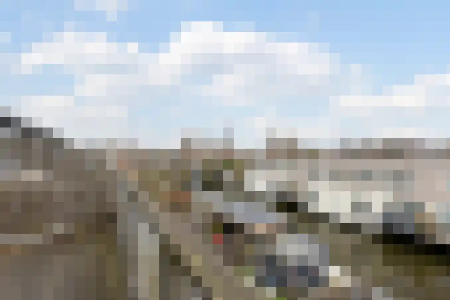 Zonnebaars 11 Krommenie thumbnail 34