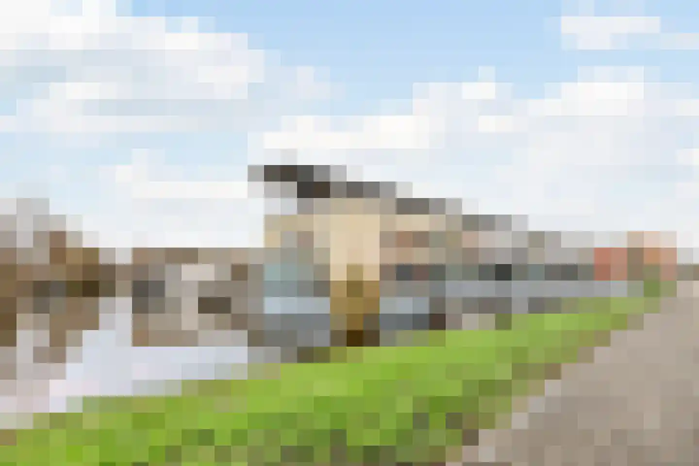 Zonnebaars 11 Krommenie thumbnail 36