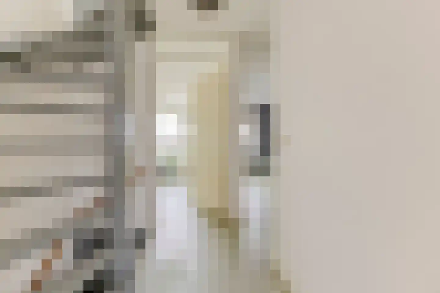 Zonnebaars 11 Krommenie thumbnail 37
