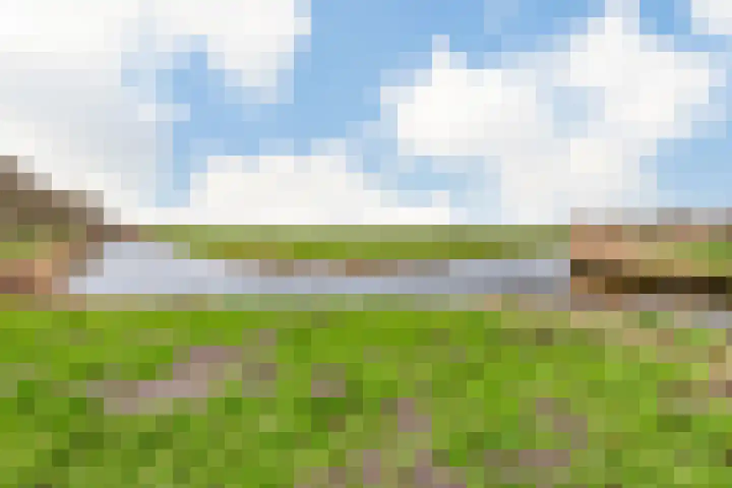 Zonnebaars 11 Krommenie thumbnail 39