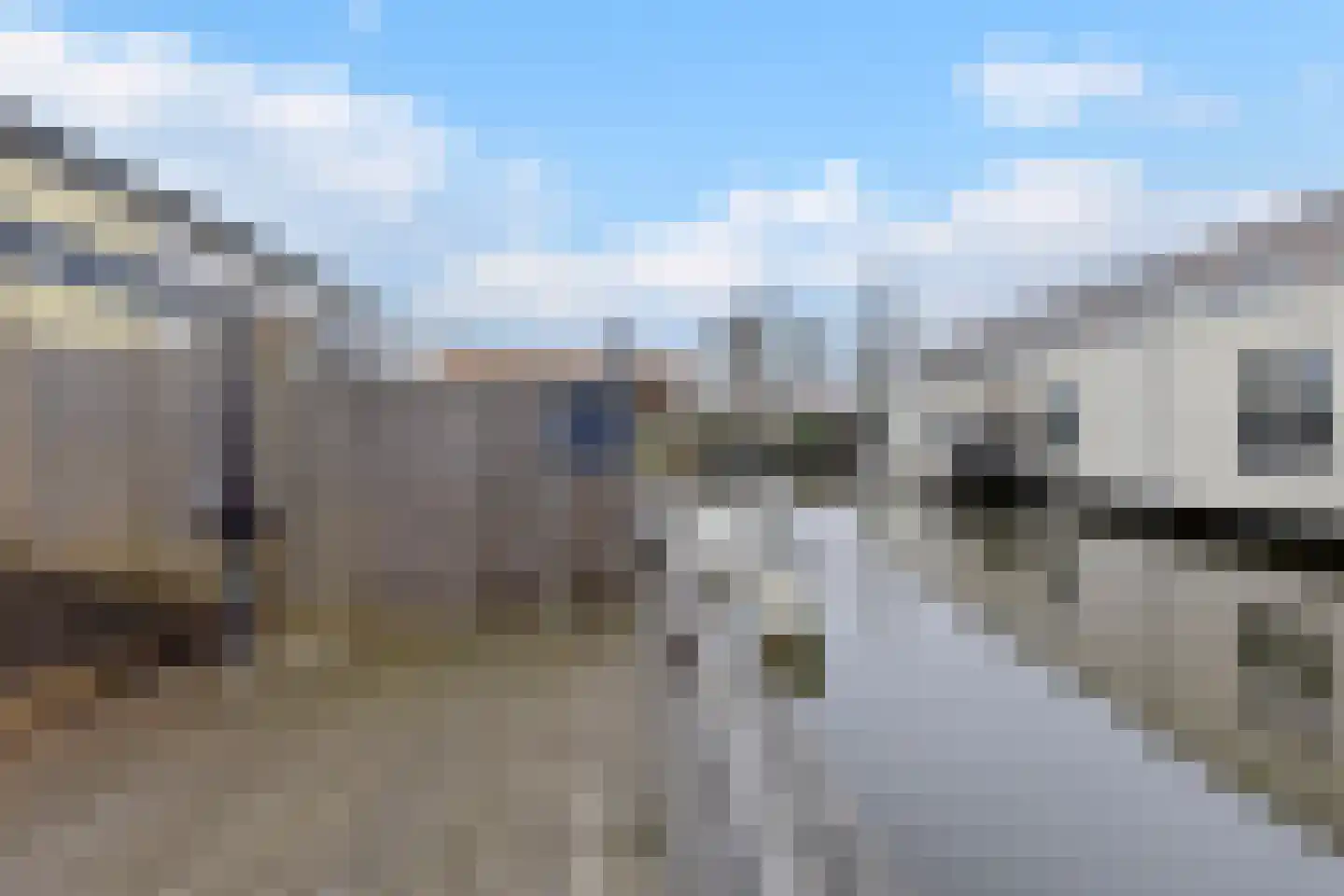 Zonnebaars 11 Krommenie thumbnail 4