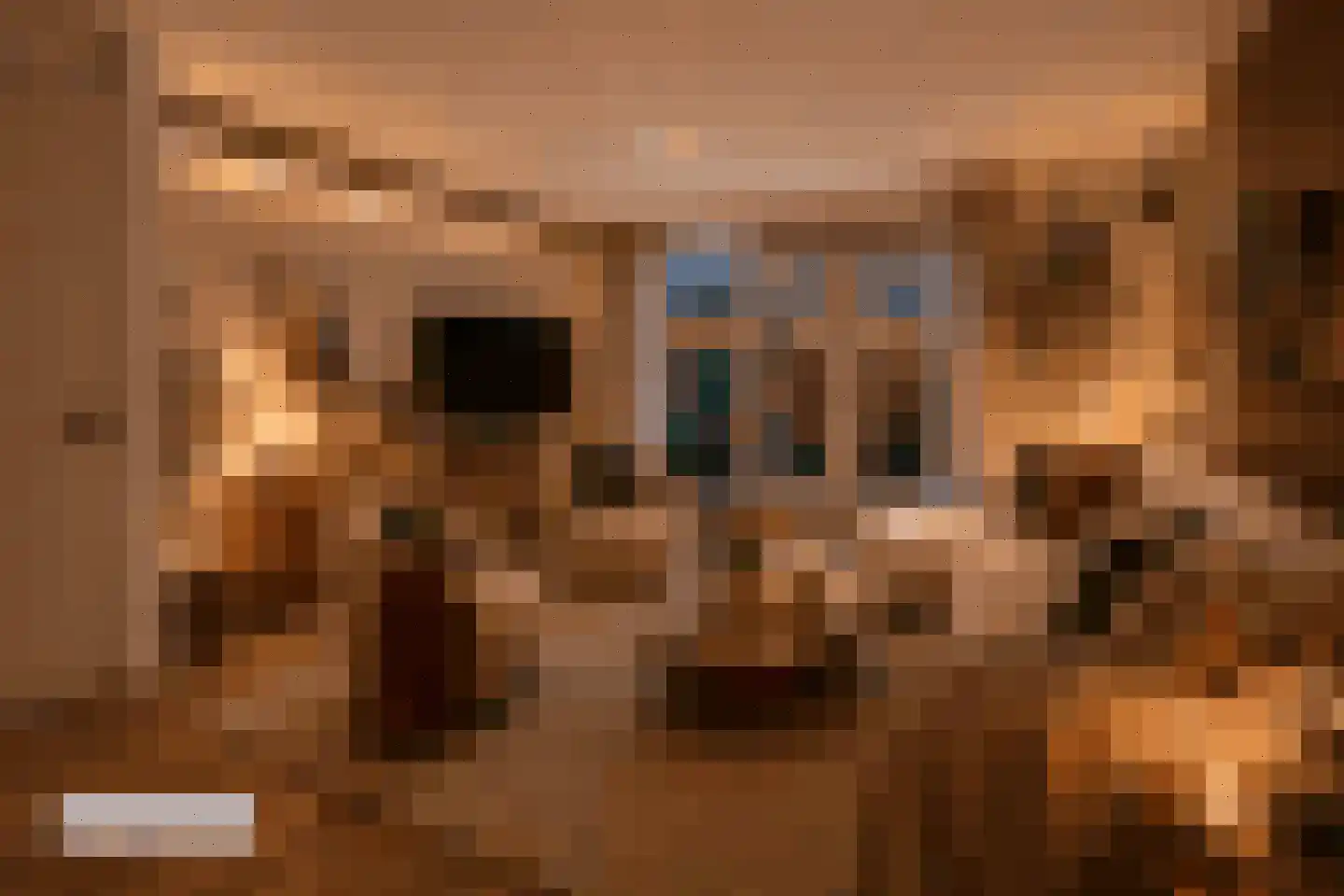 Zonnebaars 11 Krommenie thumbnail 4
