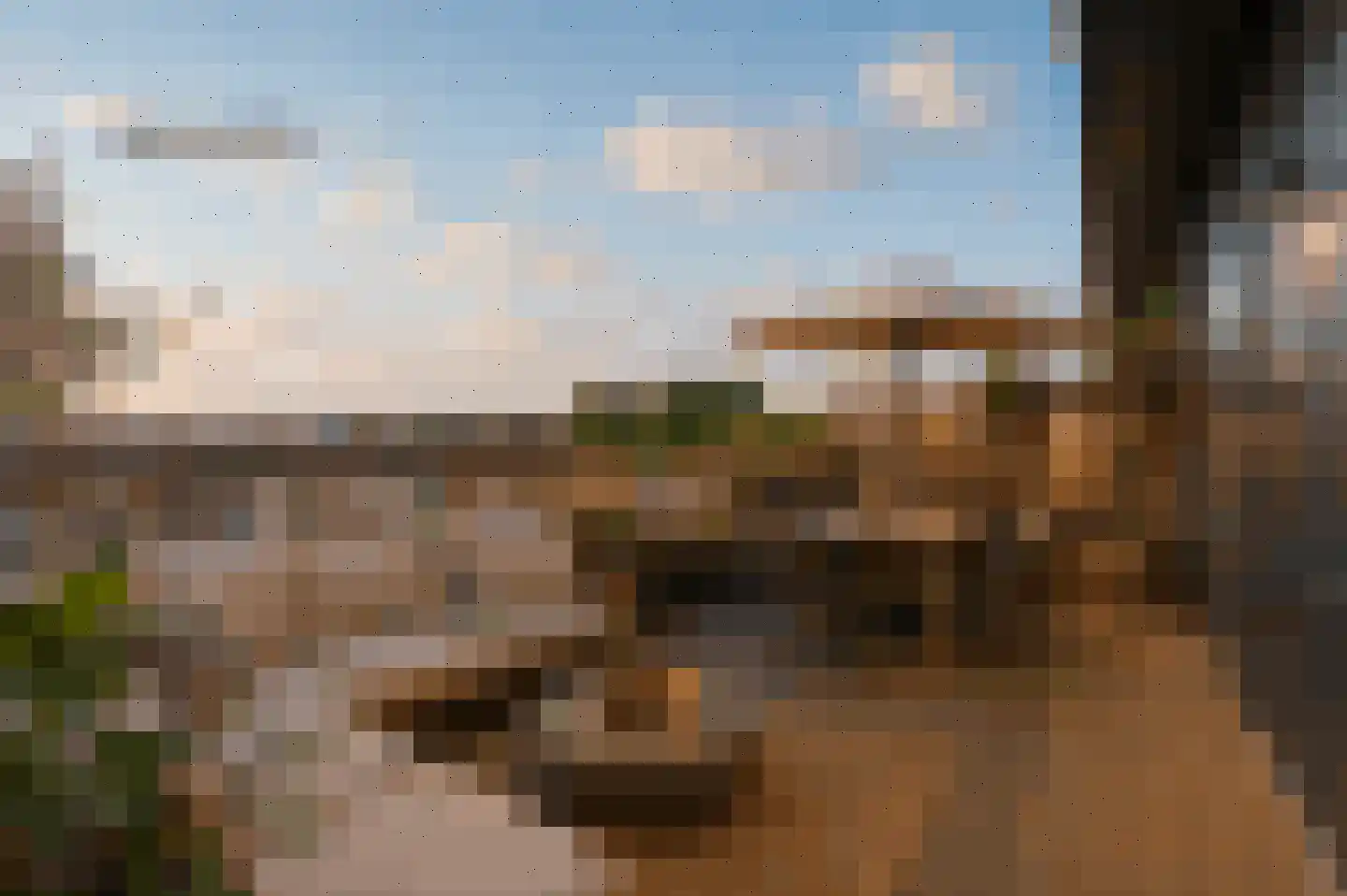 Zonnebaars 11 Krommenie thumbnail 41