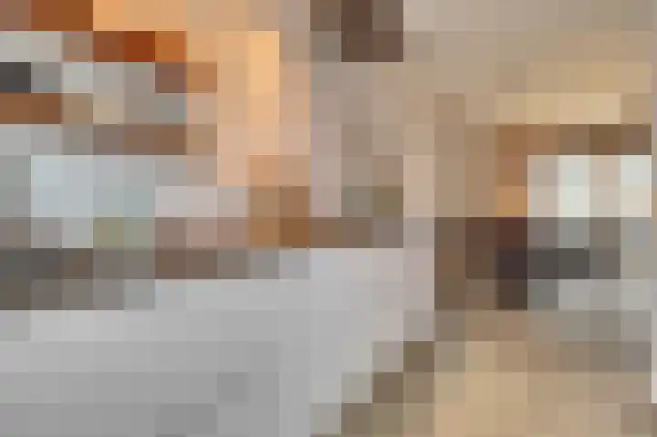 Zonnebaars 11 Rossum thumbnail 14