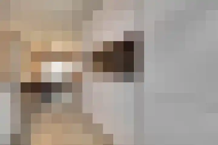 Zonnebaars 11 Rossum thumbnail 15