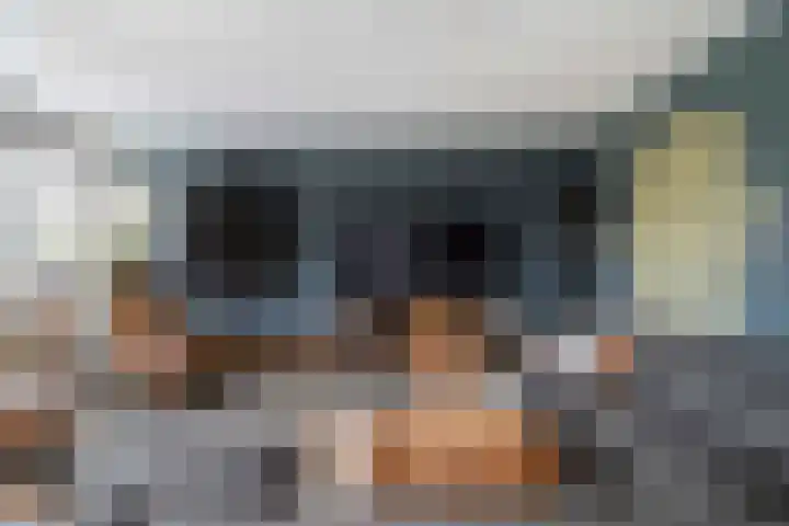 Zonnebaars 11 Rossum thumbnail 19