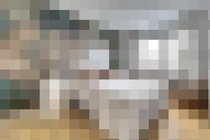 Zonnebaars 11 Rossum thumbnail 20