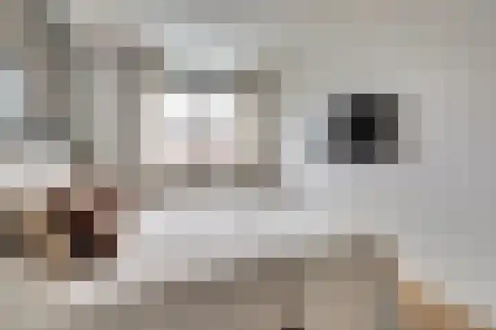 Zonnebaars 11 Rossum thumbnail 21