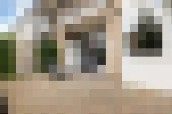 Zonnebaars 11 Rossum thumbnail 22