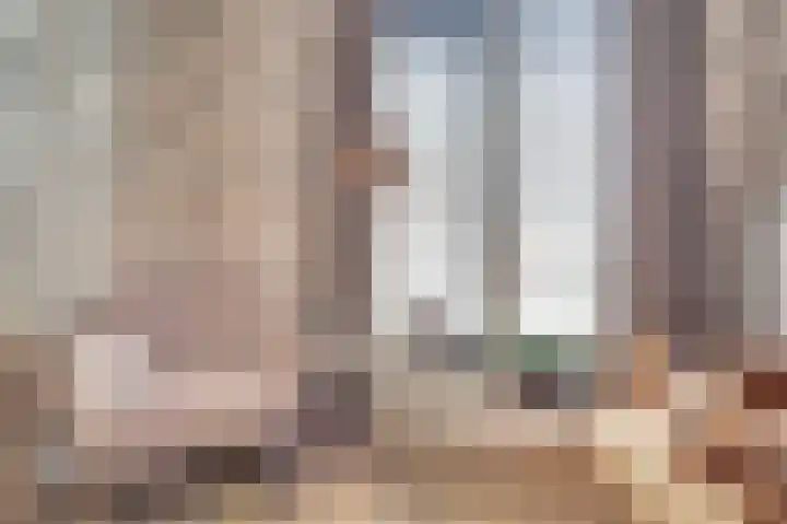 Zonnebaars 11 Rossum thumbnail 24
