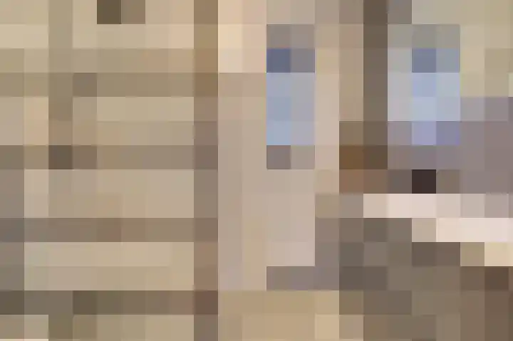 Zonnebaars 11 Rossum thumbnail 28