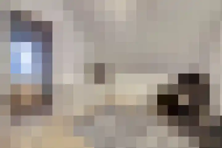 Zonnebaars 11 Rossum thumbnail 33